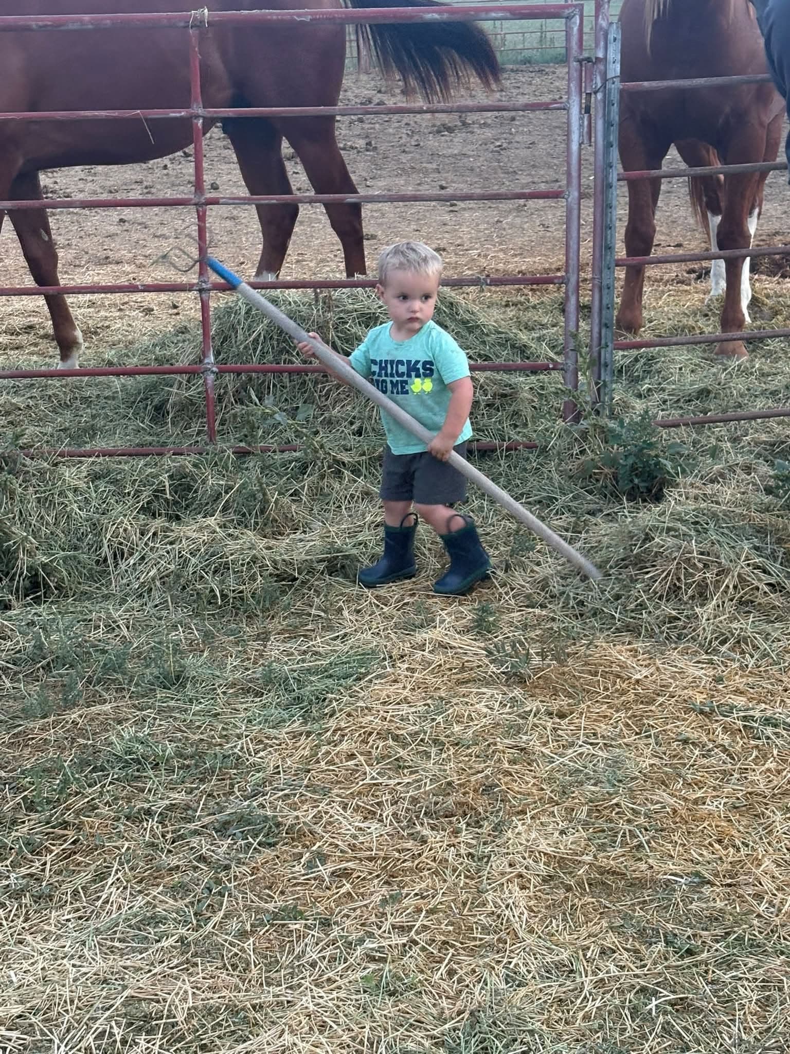 A young visitor rakes hay beside the horse paddock at Rockwell Farms